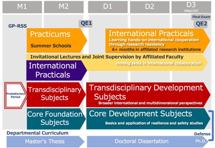 GP-RSS Curriculum Flowchart